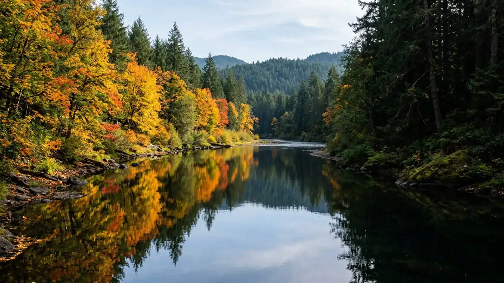 Calm river and forest in Eugene area